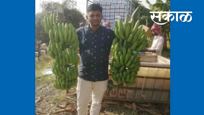 पुण्यातील नोकरीला तरुणाने केले बाय बाय; आणि गावी शेती करून मेहनतीचा वाजविला सातासमुद्रापार डंका }
