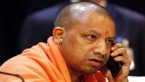 yogi.