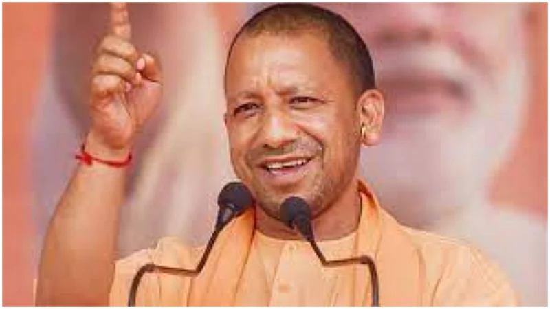 yogi