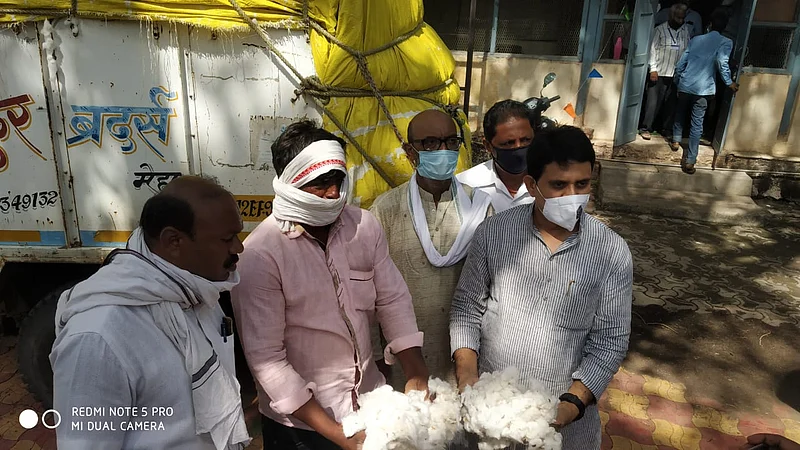 Yavatmal farmer cotton got good price