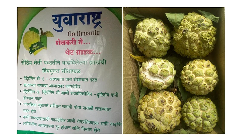 Akola News: Started a shop on the street for the first time and earned a whopping Rs. 1 lakh in a fortnight