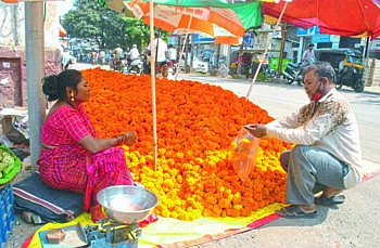 jalgaon dasara market
