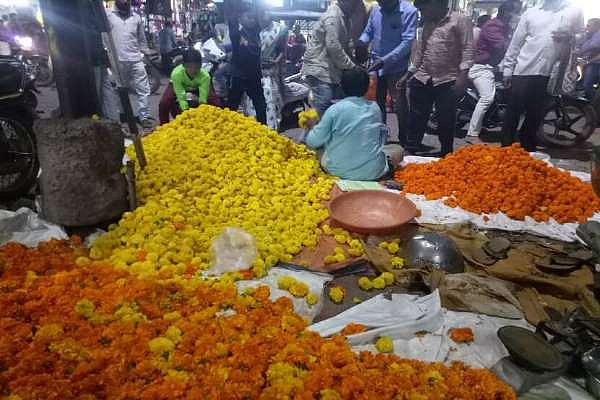 Zendu flower price came to the gold