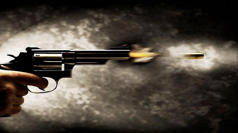आजोबांचा नेम चुकला अन् नातवाला लागली गोळी; महाडमधील विचित्र घटना
