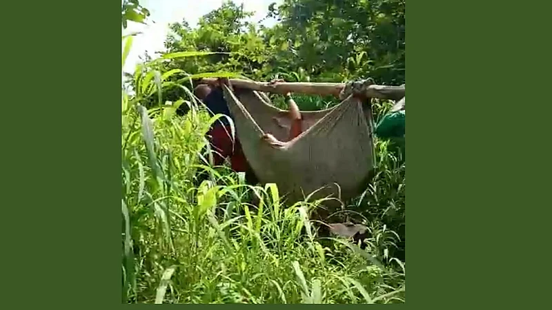 Special Report | आदिवासी गावात सुविधांची वानवा; जव्हारमधील आदिवासी जगताहेत हलाखीचे जीवन