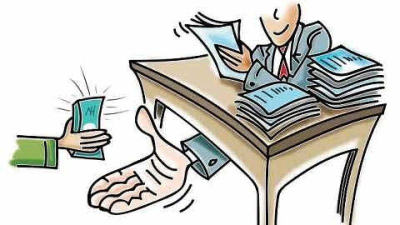 शिराळा वनविभागातील वनपालासह दोघे लाचलुचपतच्या जाळ्यात