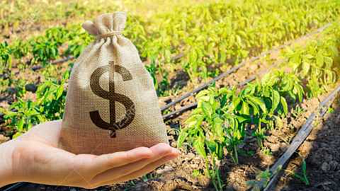 1help_20farmer