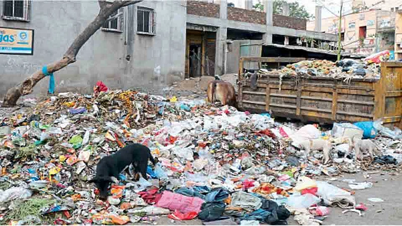 2Garbage_31