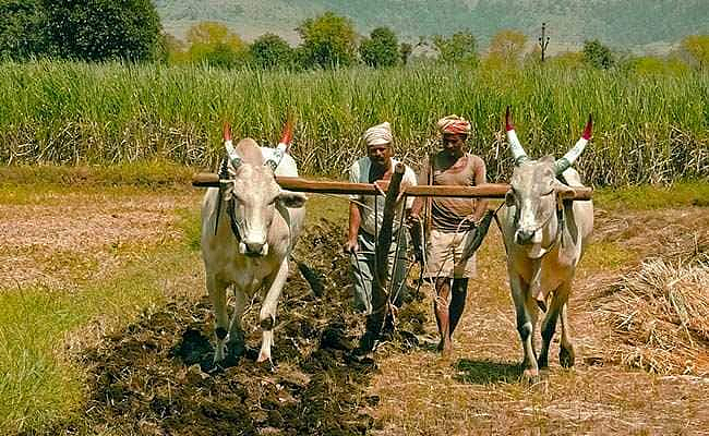 farmer suside