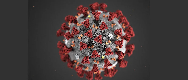 coronavirus