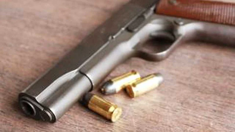 Two cartridges with guns seized in Panshet in Pune