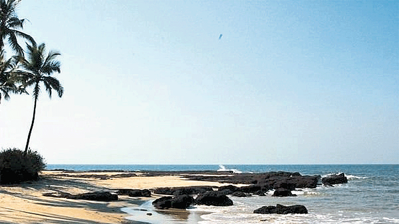 Sea Beach