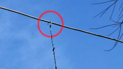 Akola electricity