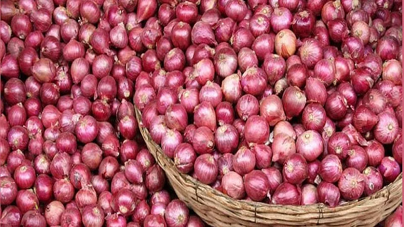 4Onion_101.jpg