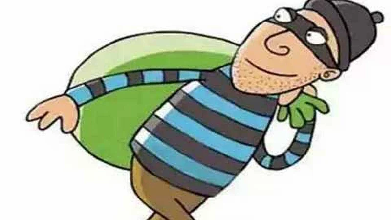 ते आले...दांपत्याला घरात बांधले आणि चोरी करून गेले !