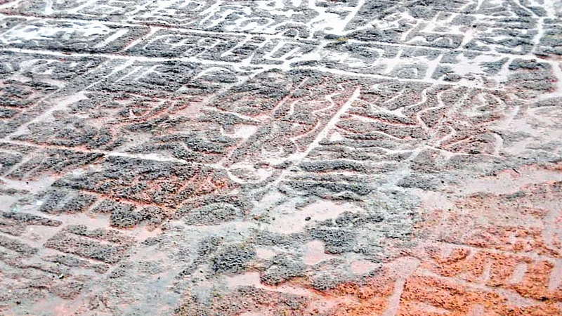 24 Cores Decleard In Budget For Conservation Of Petroglyph katal Shilpa