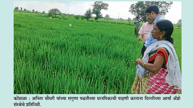 सगुणा लागवड तंत्रज्ञानाने गडचिरोलीतील १५० शेतकरी झाले समृद्ध