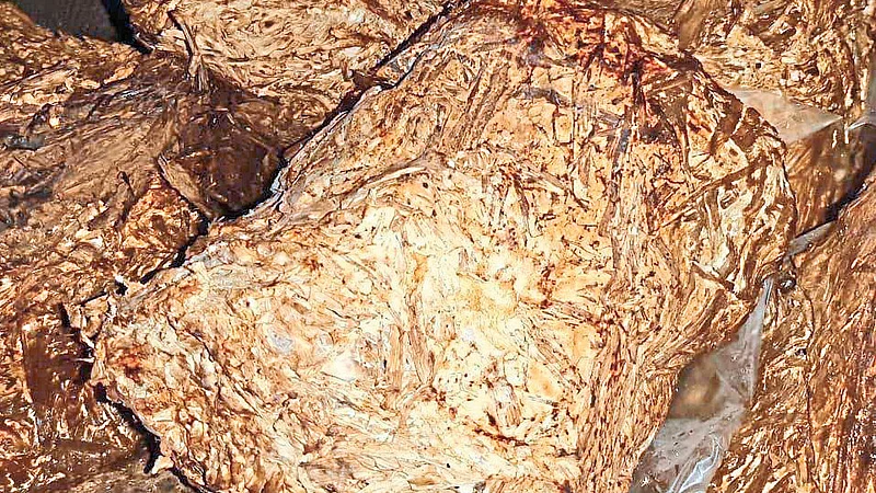 Lock Down Affects On Mushroom Cultivation Project In Sindhudurg