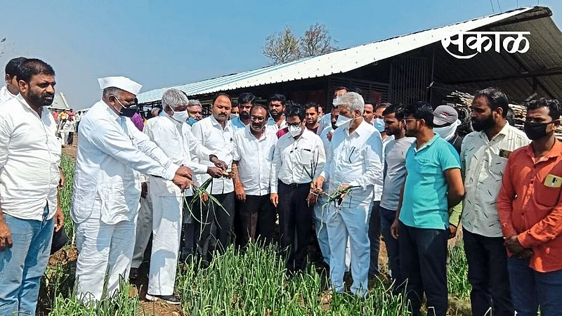 Agriculture Minister Bhuse promised to help the affected farmers Nashik News