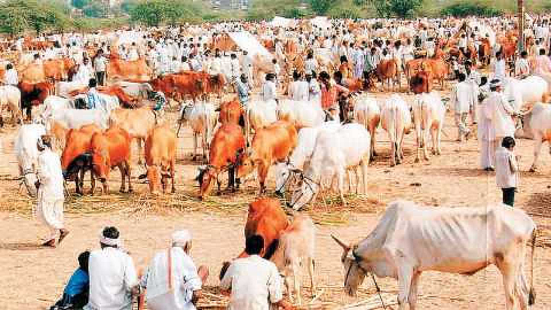 Bailbazar