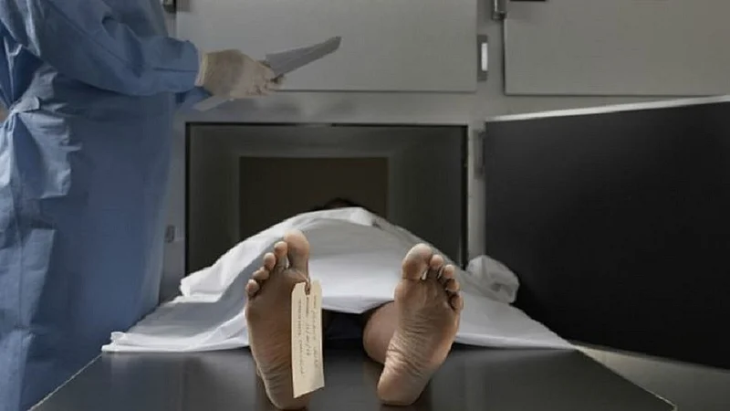 mortal body