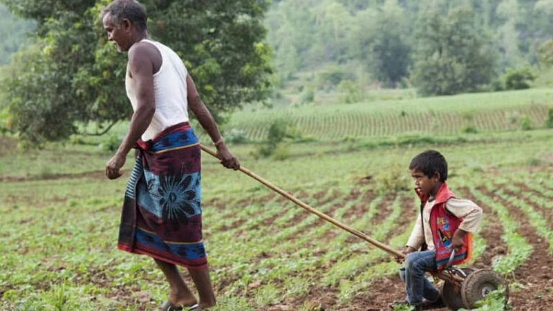 Farmer