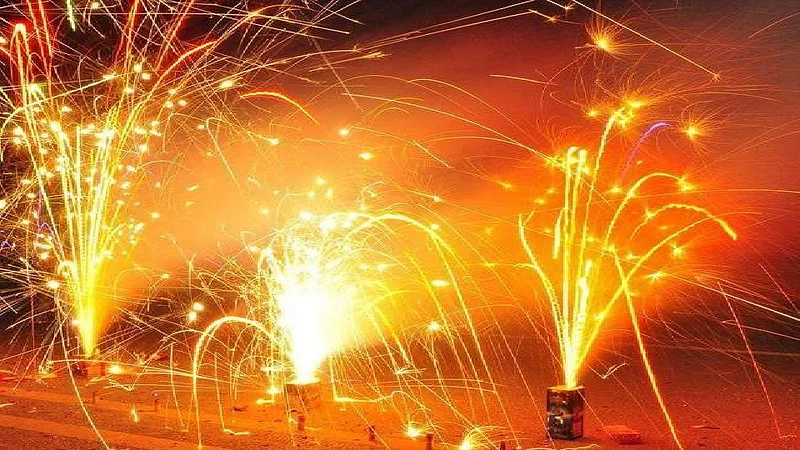 यंदाच्या दिवाळीत पशु-पक्ष्यांनी घेतला मोकळा श्वास, जखमी होण्याच्या संख्येत घट