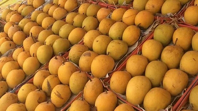 फळांच्या राजालाही कोरोनाचा फटका