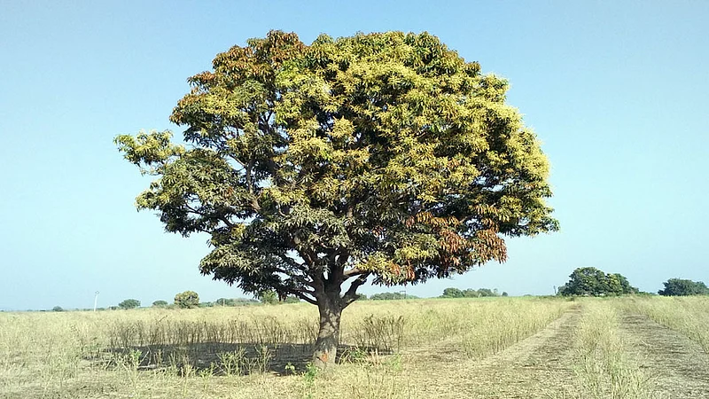Parbhani