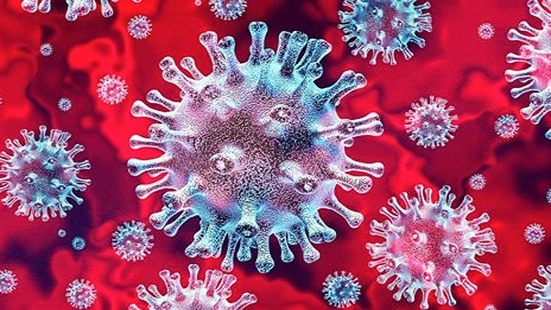 In Baramati another 13 people were infected with corona