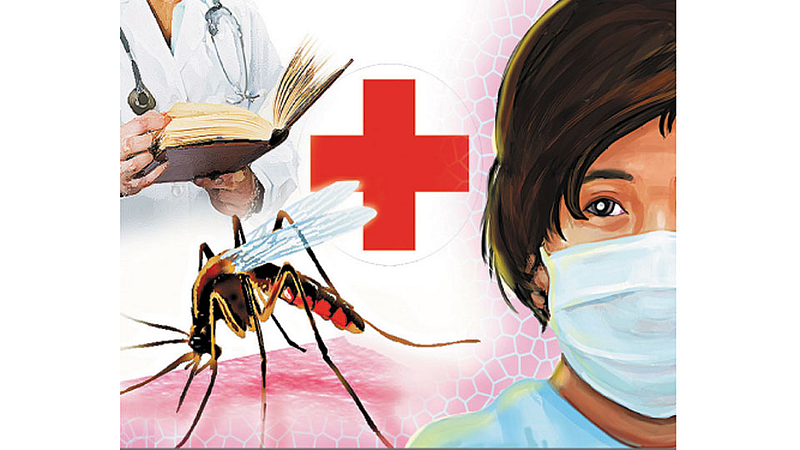 Increase in cases of swine flu dengue in nashik