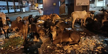 Medical waste on the streets of Corona crisis belgaum