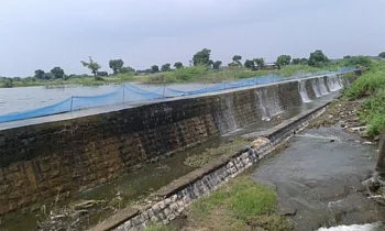 चांगल्या पावसामुळे मासे खाणाऱया खवय्यांची यंदा चंगळ !