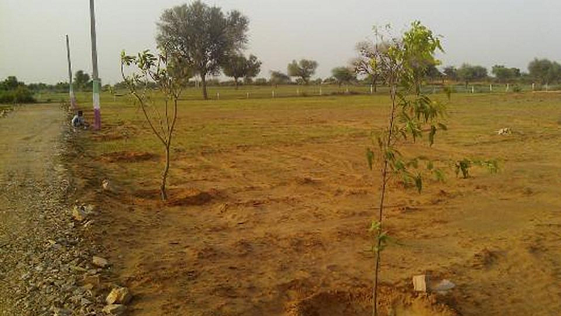 Land