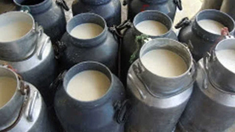 Loss of Rs. 13 per liter, milk business will go bankrupt