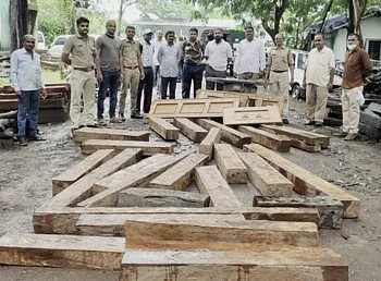घरात साठविला होता अवैध लाकूड साठा, माहिती मिळताच वन विभागाची कारवाई