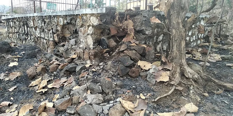 Akola News: Nature tourism center of the forest department fell to dust