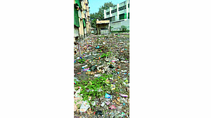 PMC is ignoring uncleanliness at anna bhau sathe nagar in pune PMC is ignoring uncleanliness at anna bhau sathe nagar in pune