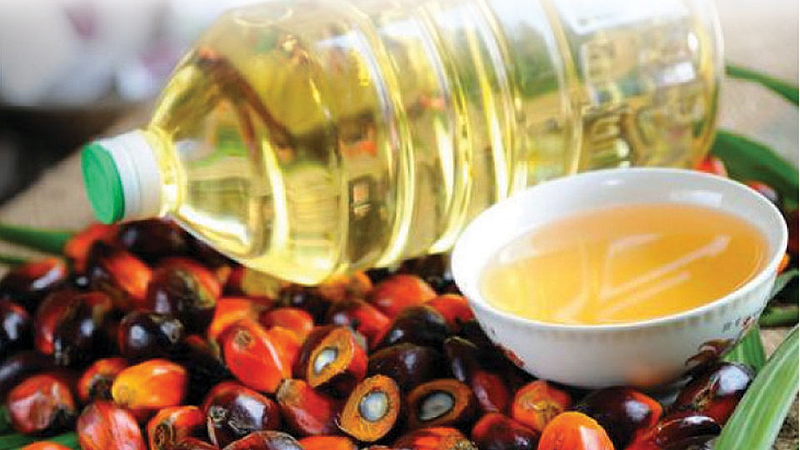 Oil professionals Demand for increase in import duty on palm oil Piyush Goyal finance economy tax mumbai