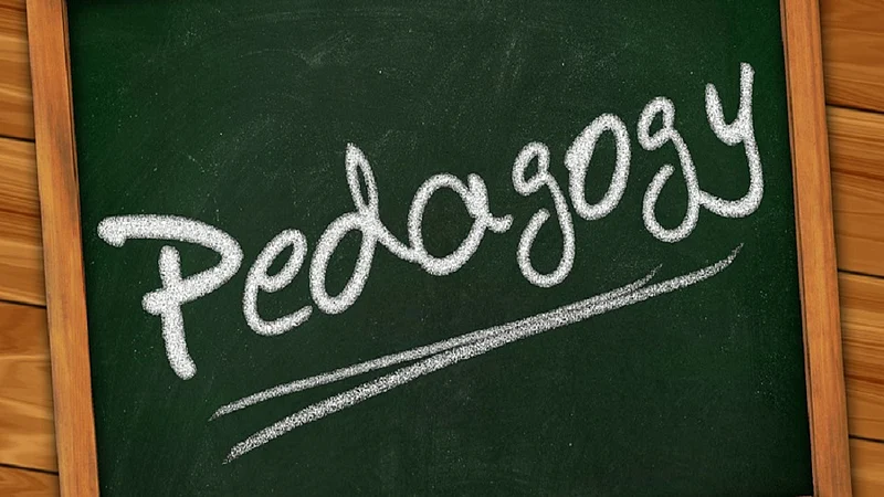 Pedagogy training for Hindi professor under the initiative of Pune University