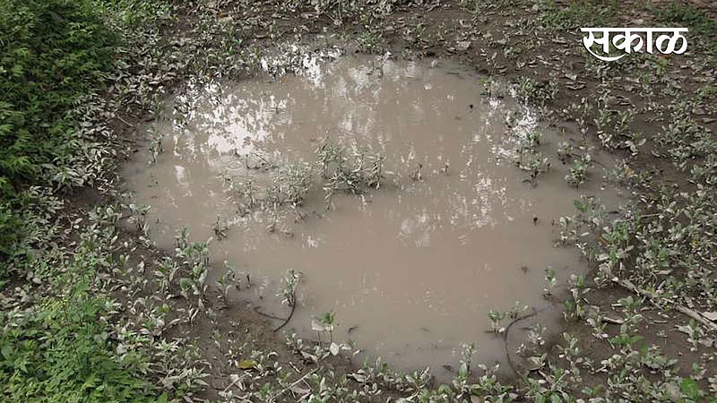 Puddles}