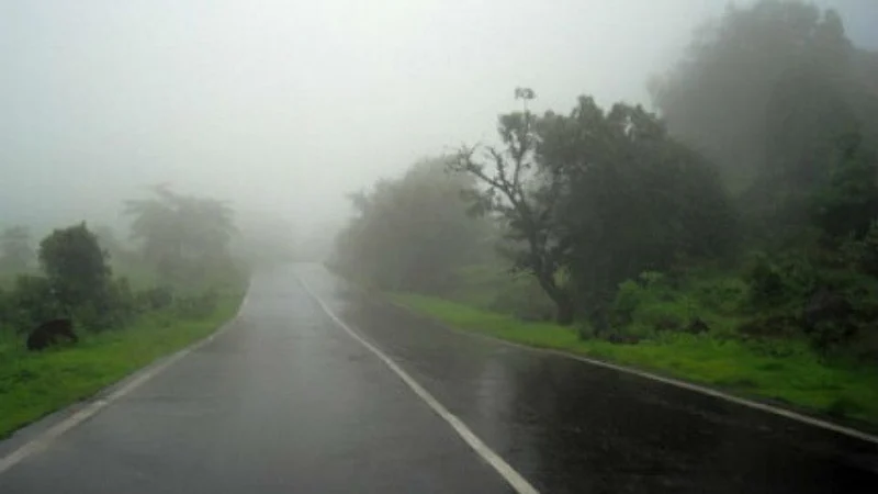 Rainfall