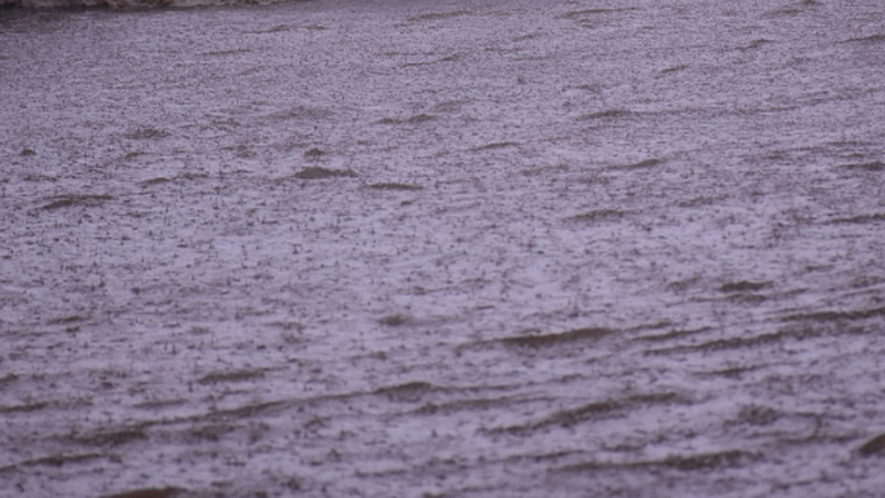 Rain in Konkan