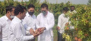 Former BJP MLA Ram Shinde inspects agriculture in Rashin
