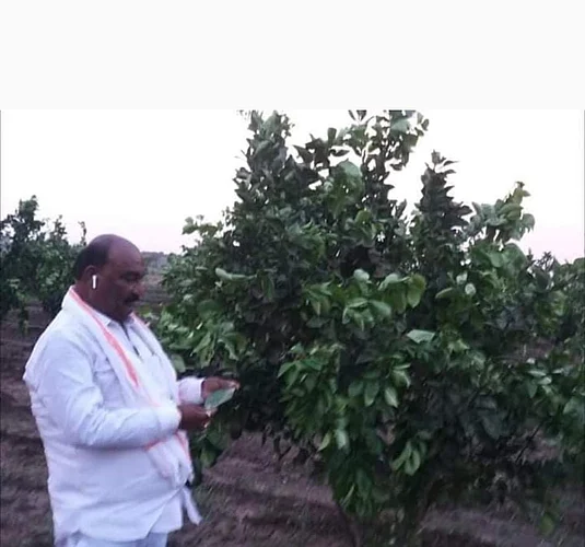 The state's horticulture and Rohyo Manji Sandipan Bhumare loves the farm very much.jpg