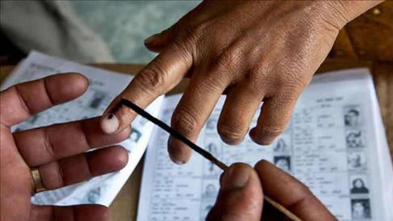 voter