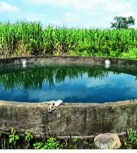 Complaint of obstruction of farmers by agriculture department in Shrirampur