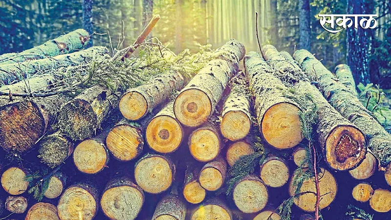 Wood}