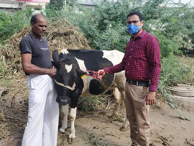 A quarter of a million animals in Nevasa will be identified