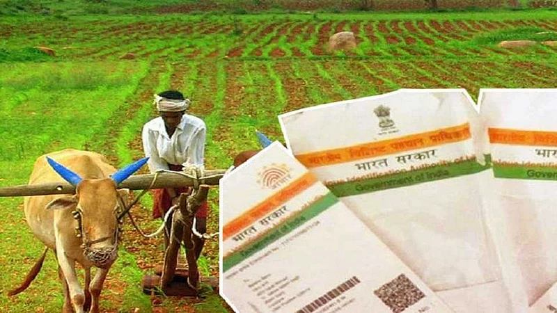 Akola News: There is no support for three and a half thousand farmers